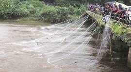 Mahad Bridge Collapse, Mahad Bridge collapse news, India news, bridge collapse latest, India news, death toll rises in Bridge collapse, Mahad bridge collapse toll rises, Mahad bridge collapse death toll, Latest news