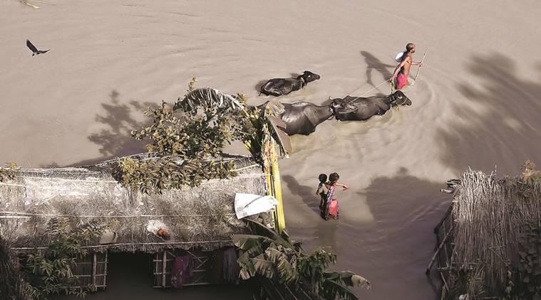 assam, assam flood, majuli flood, assam flood aftermath, assam flood casualities, houses destroyed, mauli erosion problem, assam repairing, samaguri village, brahmaputra reconstruction, fresh erosion, majuli fresh erosion, sarbananda sonowal, indian express news, assam flood updates, india news