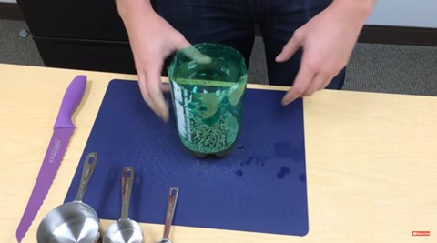 SF Globe, how to build a mosquito trap, catch mosquitoes, get rid of mosquitoes, DIY mosquito treatment