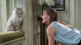 Nine Lives review, Nine Lives movie review, Nine Lives, Nine Lives movie, Nine Lives cast, Nine Lives star rating, Nine Lives rating, Nine Lives director, Kevin Spacey, Jennifer Garner, Melina, Weissman