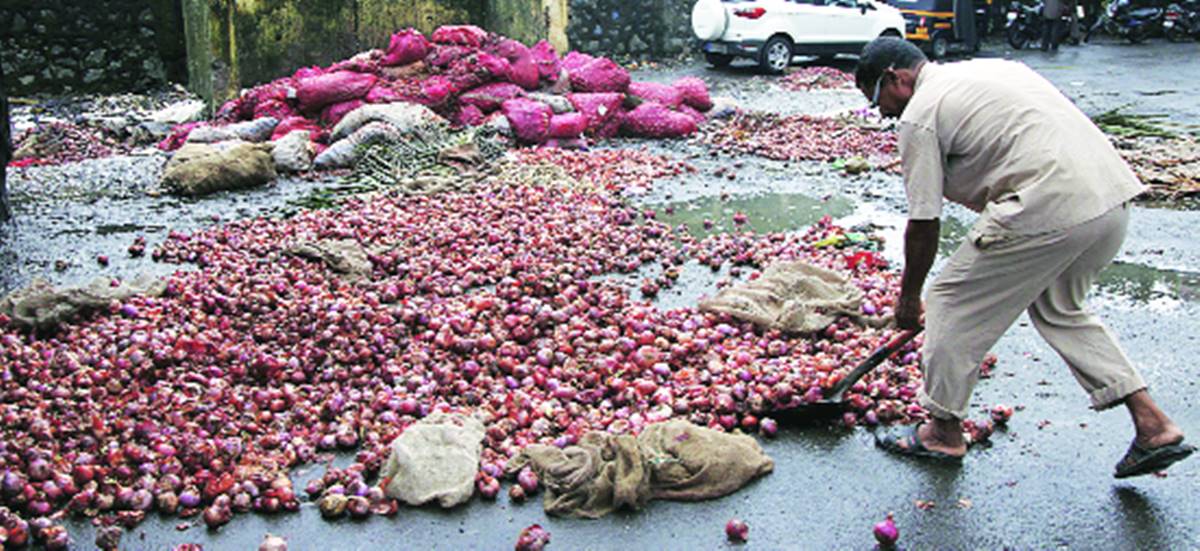 mumbai, onion gorwers, mumbai onion growers, india news, mumbai news