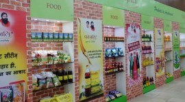 Patanjali, Patanjali Himachal Pradesh, Patanjali Himachal Pradesh land, Himachal Pradesh govt on Patanjali, Himachal CM on Patanjali, indian express news 