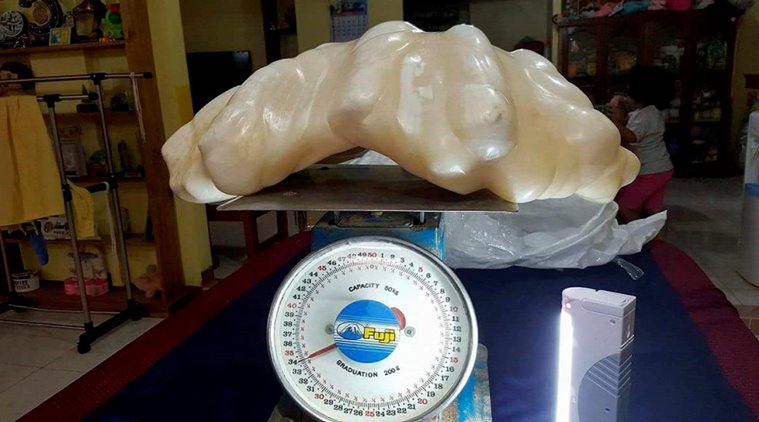 Giant pearl, Giant pearl found, largest pearl, Giant pearl philippines