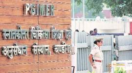 PGI, Nurses at PGI, PGI news, Strike by Nurses in Chandigarh, Chandigarh news, Latest news, India news, latest news