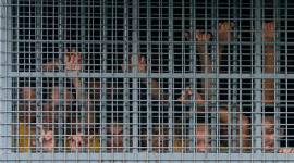 alipore central jail, kolkata, west bengal, correctional homes, Directorate of Correctional Services, DCS, indian express