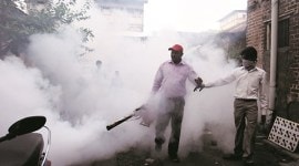 delhi, delhi chikungunya death, delhi first chikungunya death, chikungunya outbreak delhi, delhi dengue outbreak, delhi chikungunya death, delhi news, india news, indian express news