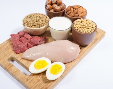Protein, memory, protein memory, protein memory study, Alzheimer's, news, latest news, world news, international news, health news,  Brain, Behavior, Immunity,