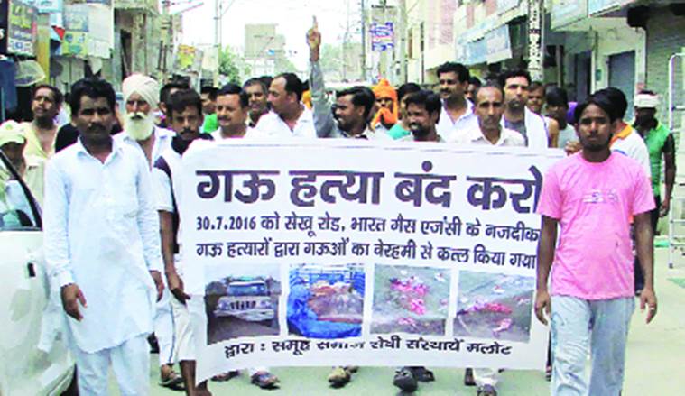 cow protection, gau rakshaks, punjab cow slaughters, cow slaughters, dalit bjp, dalits punjab, punjab government, punjab police, punjab news