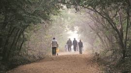 birds in pune, pune bird hotspot, pmc, pune municipal corporation, bird world project, protect birds, save birds, yerawada birds, yerawada bird hot spot, taljai hill birds, indian express news, mula mutha riverside, pune, pune news