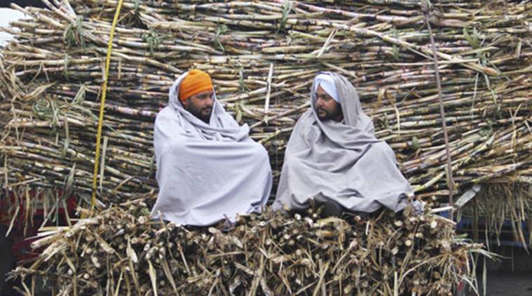 Punjab sugarcane, farmer loans punjab, farmer debt punjab, sugarcane farmers punjab, government dues punjab farmers, sugarcane farmer debts, sugarcane punjab