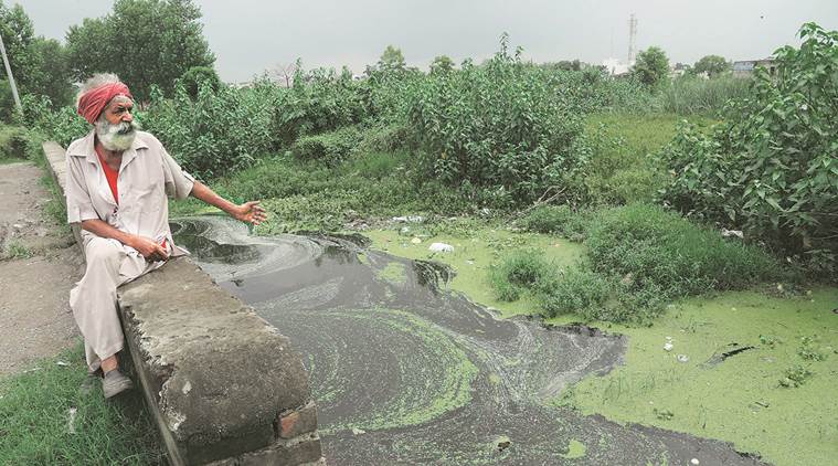 Haryana’s Yamunanagar district,river saraswati, Saraswati Heritage Development Board, Uncha Chandna, haryana govt, Adi Badri, india news