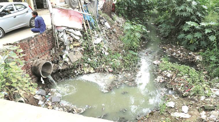 sewage,  Kansal village, Kansal village sewage, Sukhna Lake, Sukhna Lake Chandigarh, latest news, latest chandigarh news