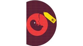 surrogacy, surrogacy ban, nda govt, sushma swaraj, surrogacy cases in india, in-vitro fertilisation, sperm donation,india surrogacy, commercial surrogacy, commercial surrogacy ban, surrogacy bill, what is surrogacy, surrogacy for money, ethical surrogacy, infertile couple, ART bill, childless couples, same sex surrogacy ban, gay surrogacy ban, surrogacy abortion, IVF surrogacy, paid surrogacy, child rights, baby girl, baby girl abortion, indian express news, india news