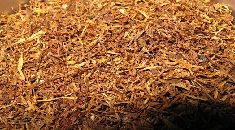 Smokeless tobacco use a habit among youth' | India News