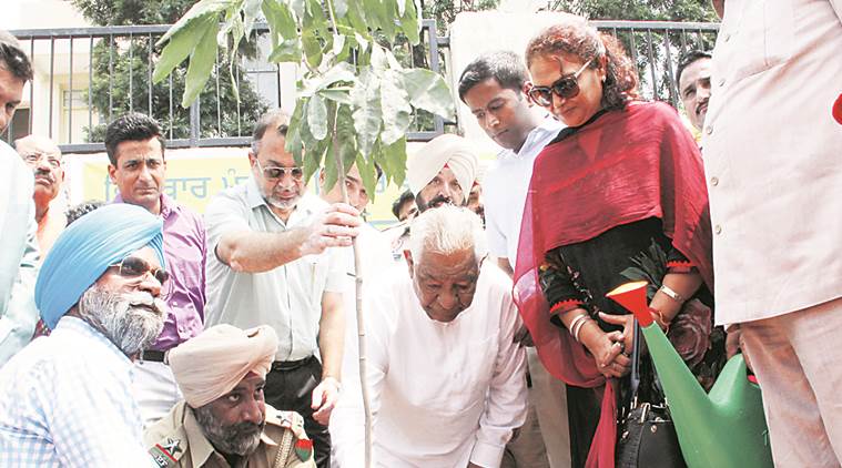 Punjab Van Mahotsav, Punjab, Van Mahotsav, Bhagat Chuni Lal, forest minister Bhagat Chuni Lal, latest news, latest punjab news