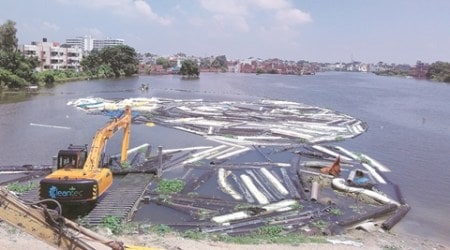 varanasi flood, flood, flood in varanasi, uttar pradesh elections, up polls, akhilesh yadav, CM Yadav, CM akhilesh yadav, varuna riverfront corridor, indian express news, india news, elections updates