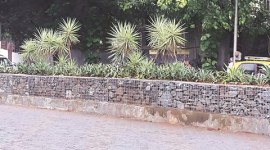 Wadala bridge, Wadala bridge Beautification, Brihanmumbai Municipal Corporation, Encroaches on wadala Bridge, Mumbai news, Maharashtra news, latest news, India news