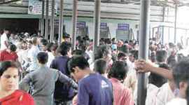 chikungunya, chikungunya death, dengue chikungunya delhi, delhi death toll, delhi chikungunya toll, latest news, india news, indian express