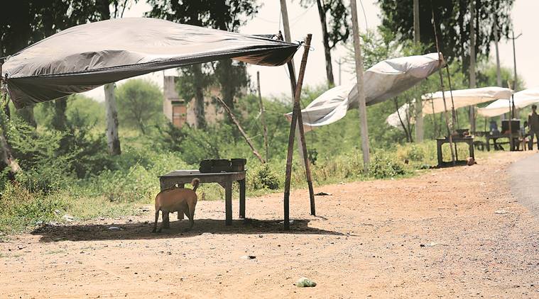 mewat, haryana, haryana biryani, haryana biryani stalls, biryani policing, haryana beef, haryana beef ban, haryana news, india news