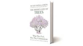 Peter Wohlleben, The Hidden Life of Trees, The Secret Life of Plants, botanical psychology, Peter Wohlleben books, botanical psychology books