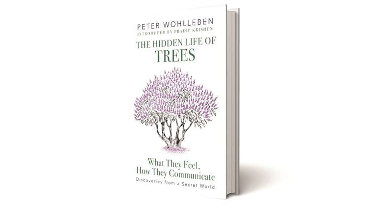Peter Wohlleben, The Hidden Life of Trees, The Secret Life of Plants, botanical psychology, Peter Wohlleben books, botanical psychology books