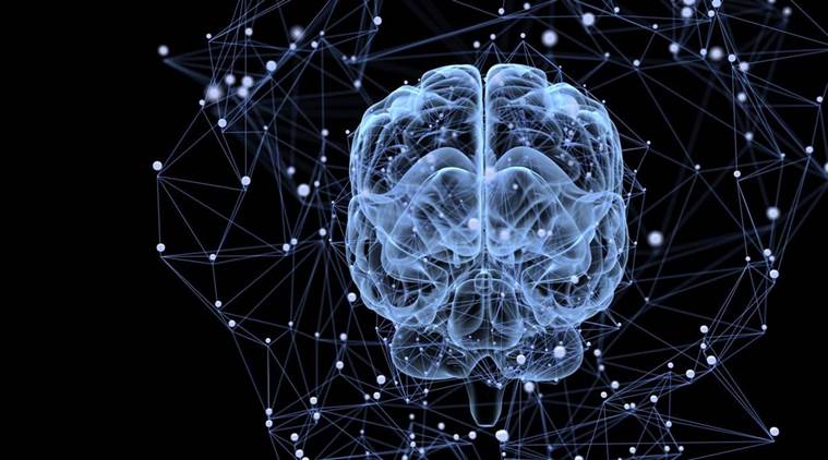 human brain mapping 2016
