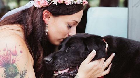 dogs, dog stories, dog dying of brain tumor attends wedding, dog affected by brain tumor attends owner wedding, emotional dog stories, touching do stories, dogs of facebook, dogs of instagram, indian express, indian express news