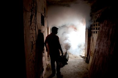 PMC, mosquito menace, vector-borne diseases, chikungunya, dengue, disease prevention, civic health, Pune, Pune news, India news, latest news, Indian express