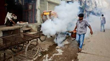 Chikungunya, Chikungunya death, dengue chikungunya delhi, delhi death toll, delhi chikungunya toll, latest news, india news, indian express