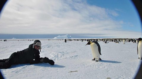 A trip to the interiors of Antarctica along with Emperor Penguins: Have ...