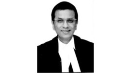 chikungunya, chikungunya deaths, chikungunya death toll, chikungunya SC judge, D Y Chandrachud, delhi news, india news