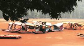 Kashmir unrest, Kashmir violence, Violence in Kashmir, kashmir curfew, Dal Lake, Kashmir Dal lake, Dal lake cleaning, Kashmie news, india news