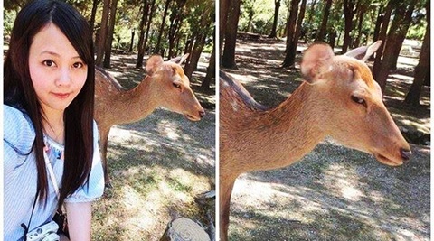 This annoyed deer did NOT appreciate posing for a Japanese tourist's selfie  | Trending News,The Indian Express