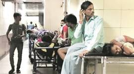 delhi, delhi dengue, delhi chikungunya, dengue cases, chukungunya cases, delhi dengue deaths, delhi chikungunya death, delhi municipal corporation, indian express news, india news, dengue symptoms, chikungunya symptoms, dengue deaths, chikungunya deaths, delhi news