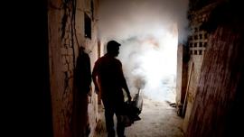 rajkot, vector borne diseases rajkot, rmc meeting, rajkot municpal corporation, congress rajkot, bjp rajkot, rajkot dengue, rajkot malaria, rajkot diseases, rajkot news, indian express news