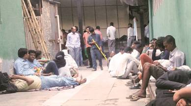 dengue, chikungunya, dengue cases, delhi dengue cases, delhi chikungunya cases, delhi dengue, delhi chikungunya, delhi dengue deaths, delhi chikungunya deaths, aiims, delhi aiims, sanitation, mosquito borne disease, indian express news, india news, delhi news, delhi