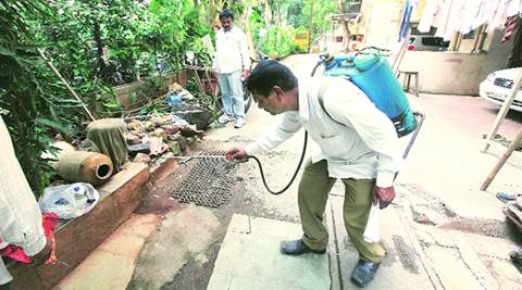 dengue pune malaria audit deaths committee due report