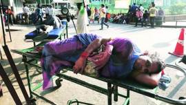 chikungunya, chikungunya deaths in India, chikungunya death India, chikungunya death debate, chikungunya death rate delhi, AIIMS, AIIMS Head of the Department of Medicine, S K Sharma, health, India news