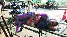 chikungunya, chikungunya deaths in India, chikungunya death India, chikungunya death debate, chikungunya death rate delhi, AIIMS, AIIMS Head of the Department of Medicine, S K Sharma, health, India news