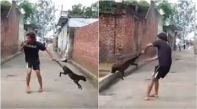 Video: Internet is trying to find the man who tortured this dog | Trending News,The Indian Express Video: Internet is trying to find the man who tortured this dog | Trending News,The Indian Express