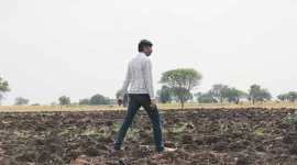 farmers, india farmers, narendra modi, arun jaitley, indian farmers, indian farmers income, india agriculture, india agricultural revenue, agricultural policies, farmers, farmer suicide, indian farmer income, narendra modi, nda government, 2 years of government, ill equipped agricultural policies, ministry of agriculture, india news