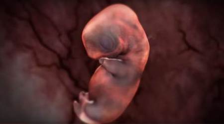 Muzaffarnagar, Muzaffarnagar feticide, india news