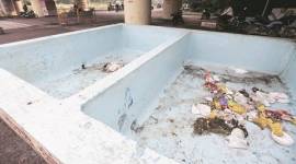 dengue, chikungunya, dengue cases, dengue deaths, dengue in pune, pune dengue, pune dengue case, pune chikungunya cases, pmc, sanitation, open garbage, eco friendly ganesh pooja, indian express news, india news, pune, pune news