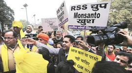 gm crops, mustard, monsanto, Genetic Engineering Appraisal Committee, GEAC, Genetic Manipulation of Crop Plants, gm mustard, vice-chancellor Deepak Pental, delhi university, DU scientists, harish damodaran, india news, indian express