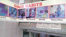 malaria, malaria death, delhi malaria death, cerebral malaria, malaria symptoms, malaria cases, dengue, chikungunya