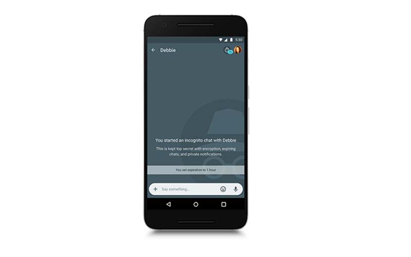 Google Allo, Google india, Google allo download, Google Allo app, allo chatting app, Google allo whatsapp messaging, How to use google Allo, Google allo app download, Google Allo features, Google allo app rollout, Google allo ios, google allo android, Technology news, indian express