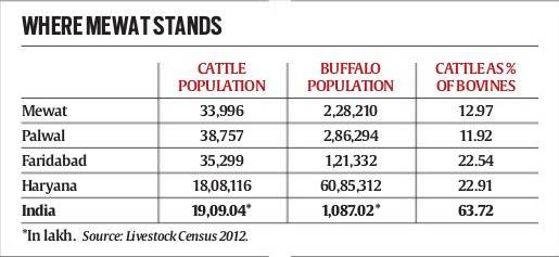 haryana