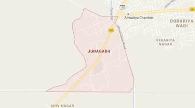 Girnar ropeway project, Girnar ropeway project gujarat, Girnar ropeway project junagadh, The Ministry of Environment, Forest and Climate Change, MoEF&CC, Girnar ropeway project, latest news, latest india news