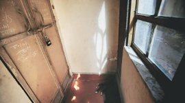 kairana-480 Kairana, Kairana exodus, Kairana hindu exodus, Kairana muslims, Muzaffarnagar, Muzaffarnagar riots, Muzaffarnagar riot refugees, Uttar Pradesh, Uttar Pradesh muslims, UP news, India news