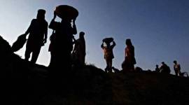 Labour department, central inspection system, Labour Commissionerate, Director of Industrial Safety and Health, Maharashtra Labour Welfare Board, Maharashtra Pollution Control Board, indian express news